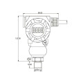 FST800-220 Pressure indicator transmitter